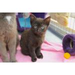 Kitti_Evelyn_304_7397.jpg