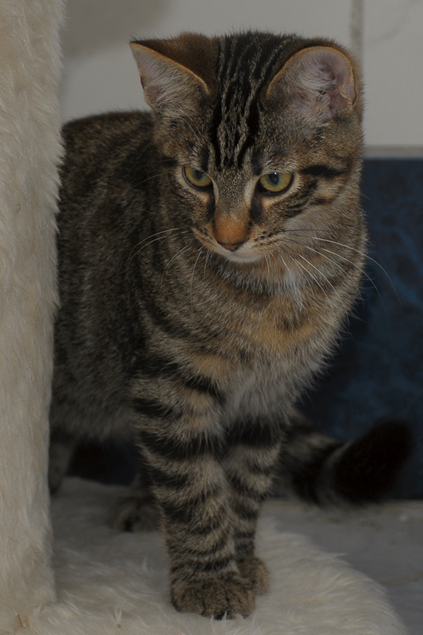 Jack_304_8308.jpg